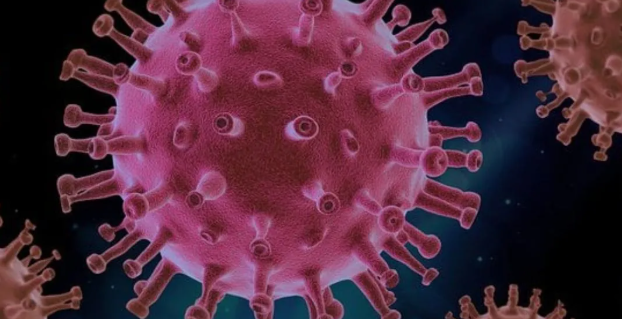 Covid-19 cases - Is the JN.1 Variant Dangerous?