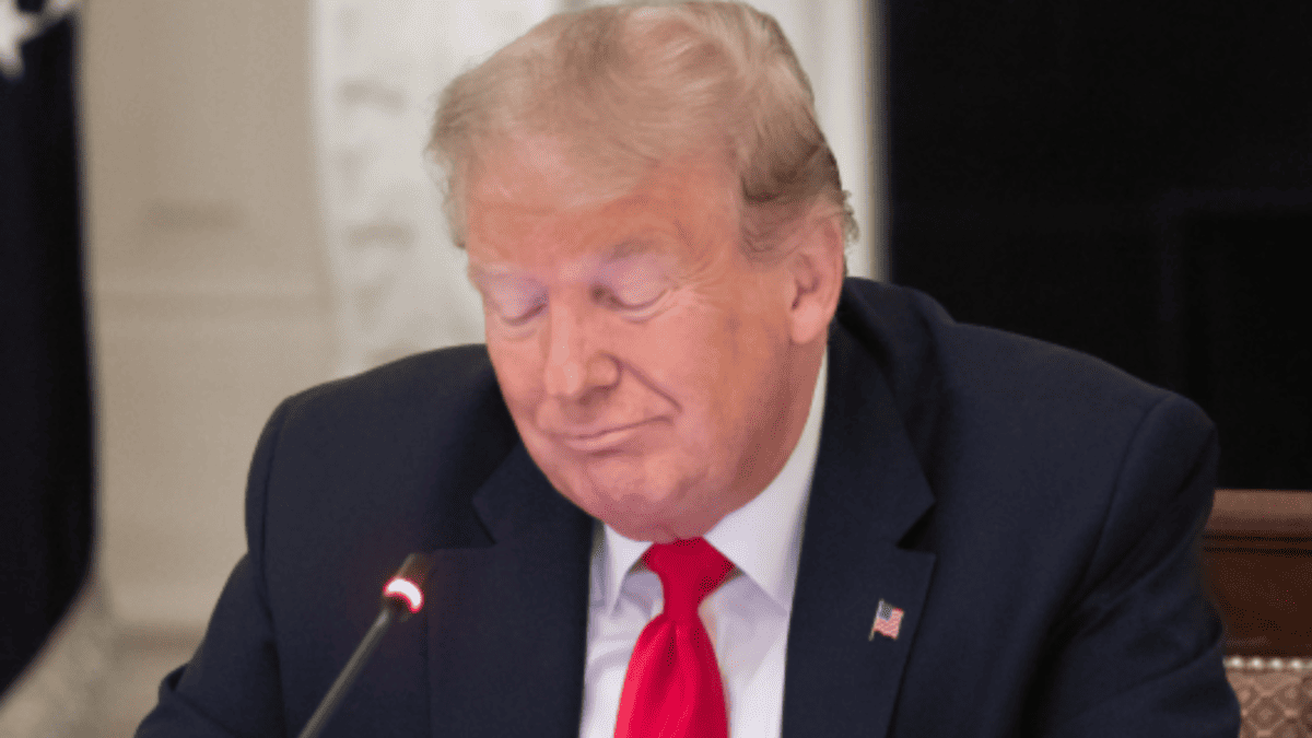 India-US metal tariffs dispute escalates at WTO with 50% duties